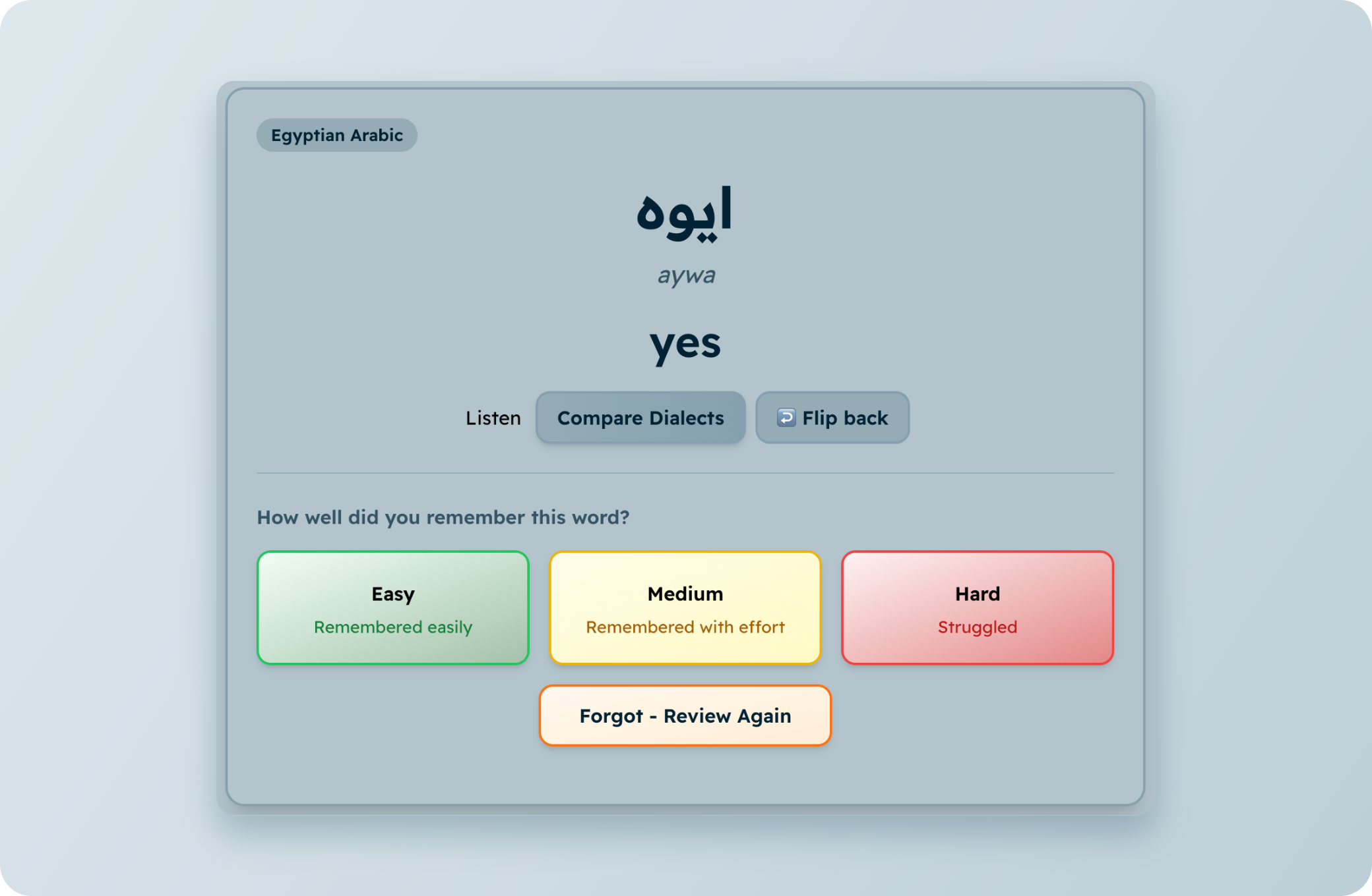 Spaced Repetition System
