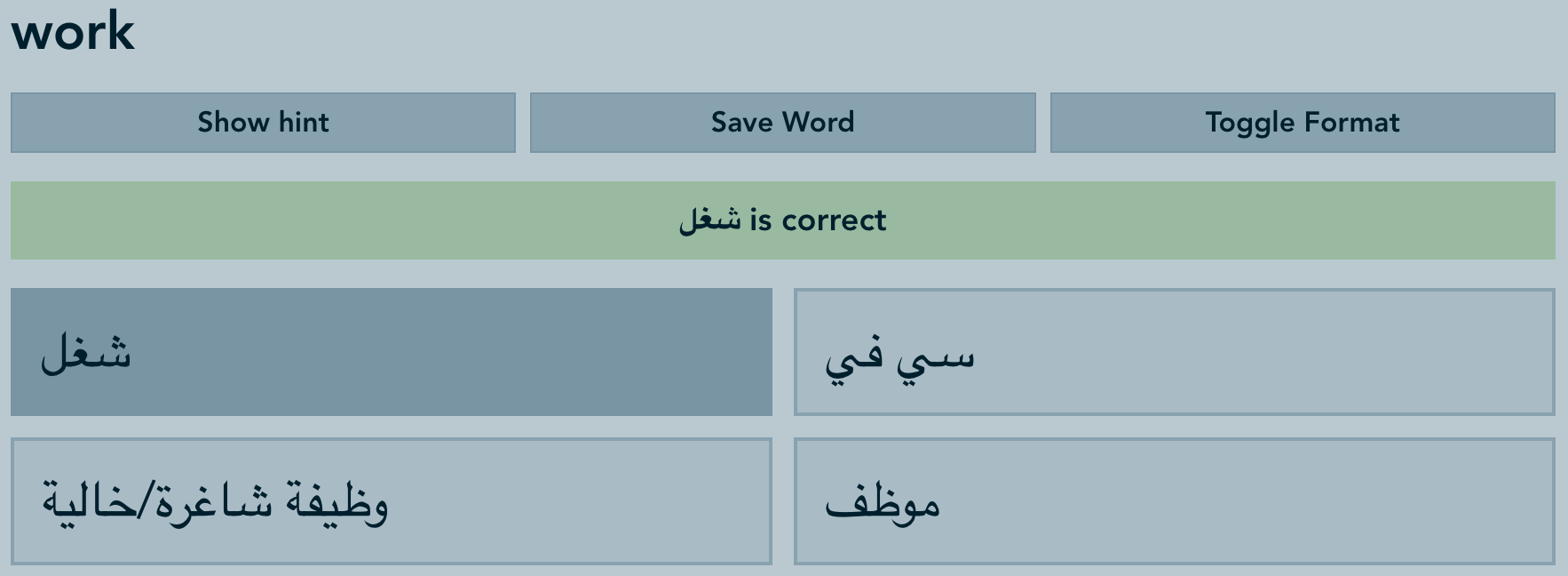Vocabulary Practice